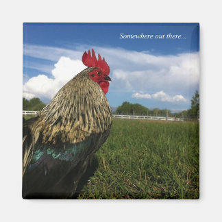 Rooster-Bob Irgendwo da draußen Magnet