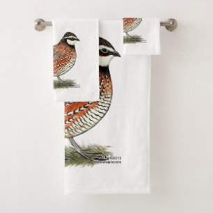 Rooster Bobwhite Quail