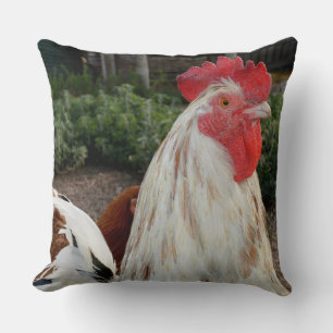 Rooster Brown Et Blanc Fier, Gros Coussin À Throw.