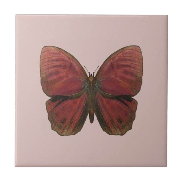 Rooster Butterfly Fliese (Vorderseite)