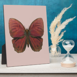 Rooster Butterfly Fotoplatte