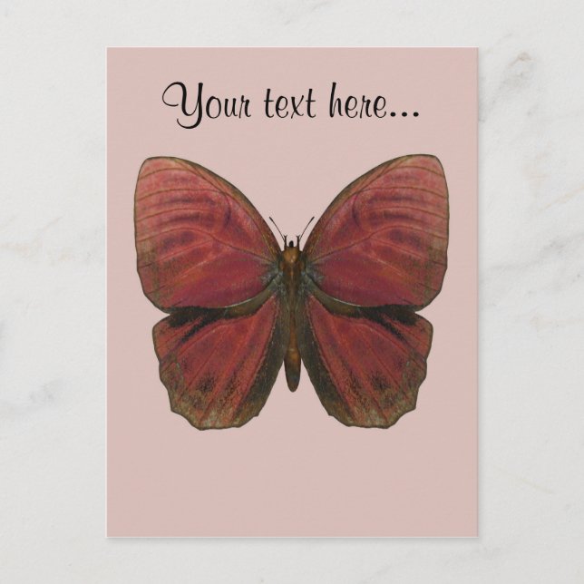 Rooster Butterfly Postkarte (Vorderseite)