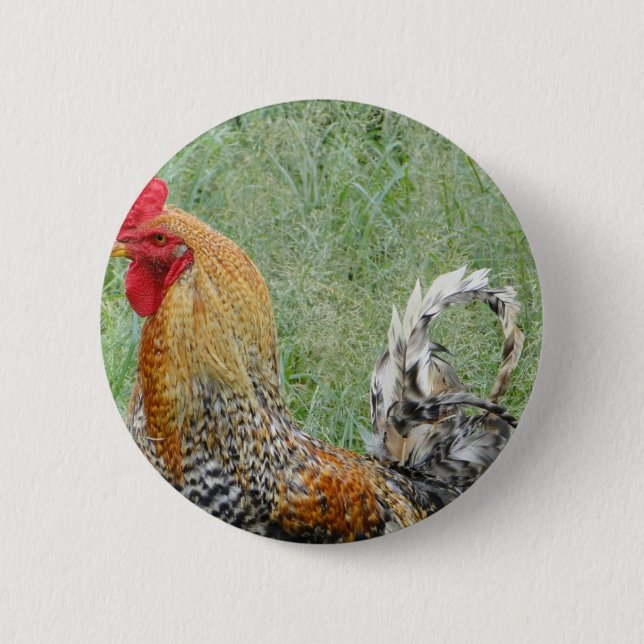 Rooster Button (Vorderseite)