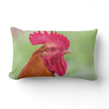Rooster & Chicken