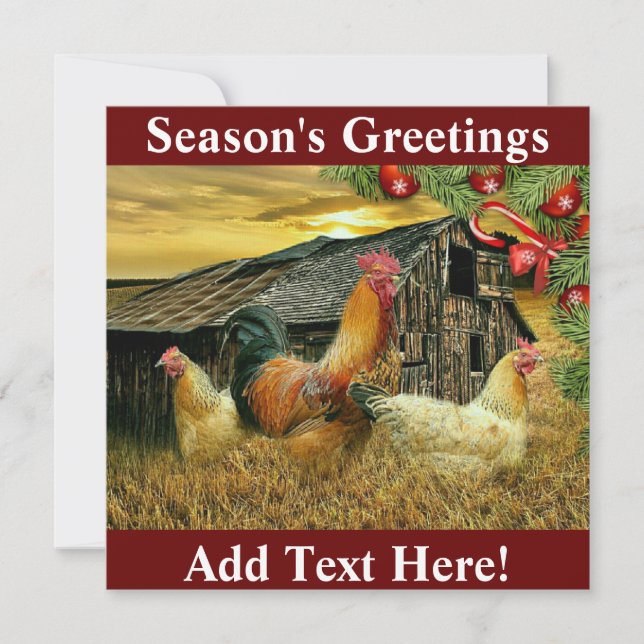 Rooster Chickens Chicken Coop Weihnachten Dankeskarte (Vorderseite)