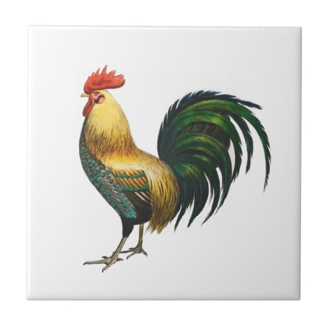 Rooster Country Klassiker mit traditionellem Vogel Fliese (Vorderseite)