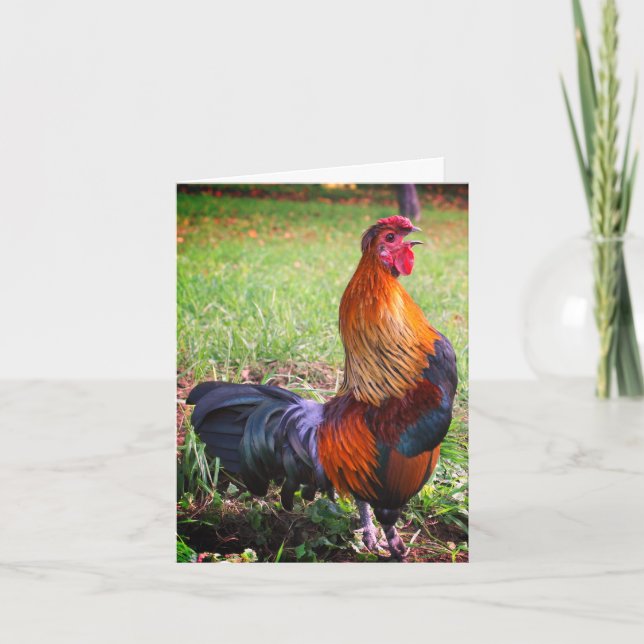 Rooster Crowing 2 Farm Animal Note Card Karte (Vorderseite)