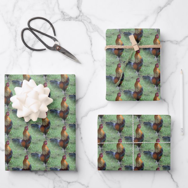 Rooster Crowing Animal Nattern Muster Geschenkpapier Set (Vorderseite)