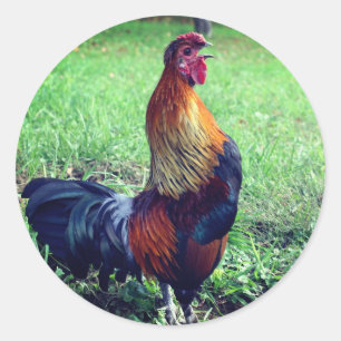 Rooster Crowing Animal Runder Aufkleber