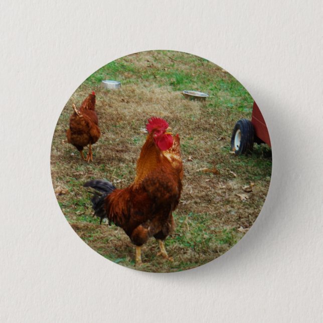 Rooster Crowing Button (Vorderseite)
