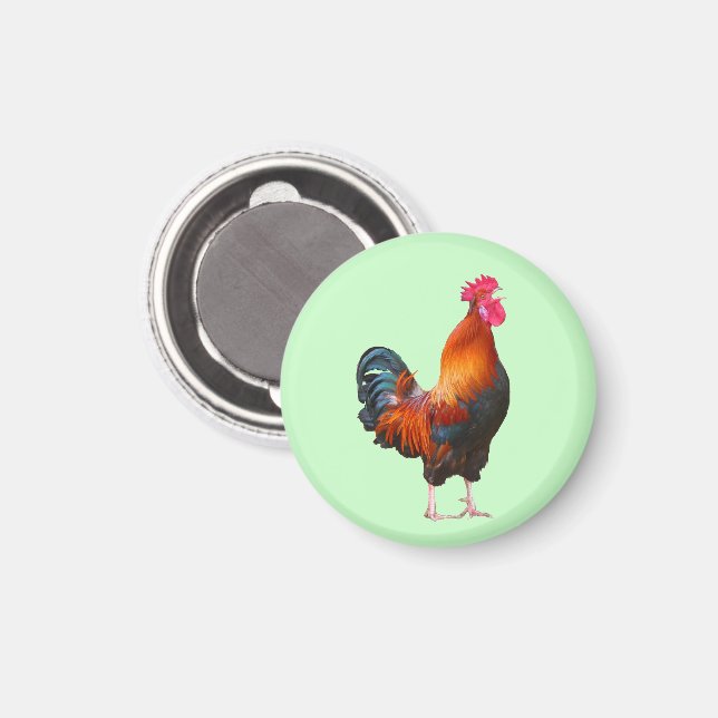 Rooster Crowing Magnet (Vorderseite/Rückseite)