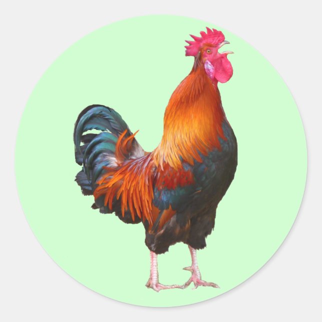 Rooster Crowing Stickers (Vorderseite)