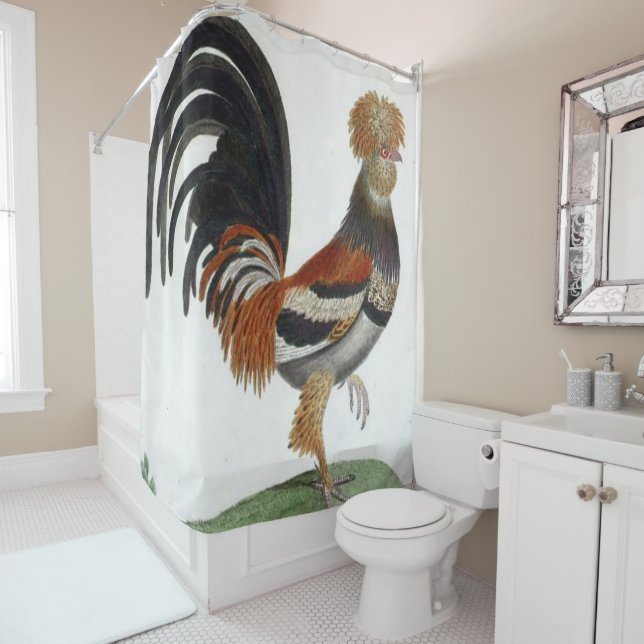 Rooster de rideau de douche (En situation)