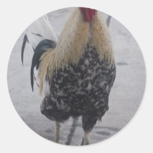 Rooster Doodle Doo Runder Aufkleber