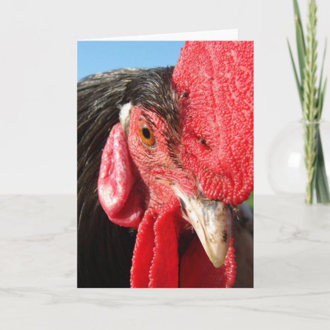 Rooster Face Karte (Vorderseite)