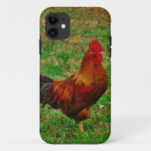 Rooster Facing right title_seo2