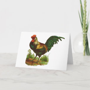 Rooster-Grußkarte Karte