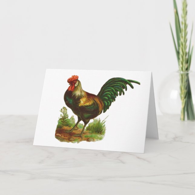 Rooster-Grußkarte Karte (Vorderseite)