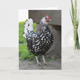 Rooster-Grußkarte Karte