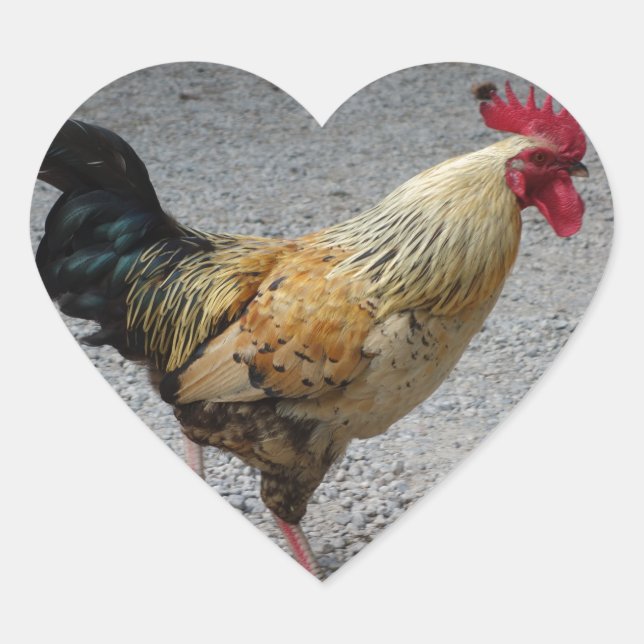 Rooster Heftsticker Herz-Aufkleber (Vorderseite)