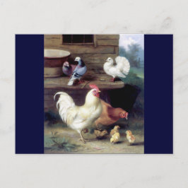 Rooster Hen Chicken Doves Postkarte