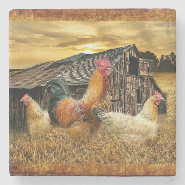 Rooster Hens Rustic Barcoop Steinuntersetzer (Vorderseite)