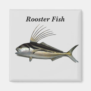 Rooster-Hintergrund Magnet