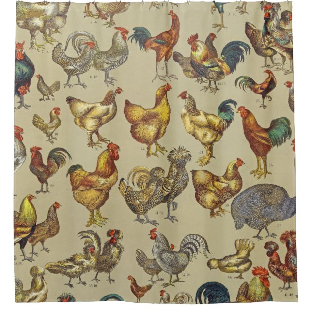 Rooster-Hühnerfarm Landtier Duschvorhang (Vorderseite)