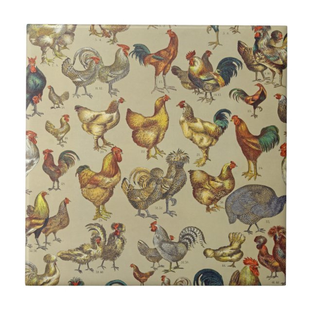 Rooster-Hühnerfarm Landtier Fliese (Vorderseite)