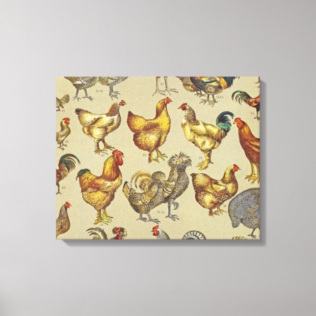 Rooster-Hühnerfarm Landtier Leinwanddruck (Vorderseite)