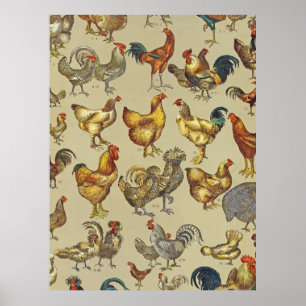 Rooster-Hühnerfarm Landtier Poster