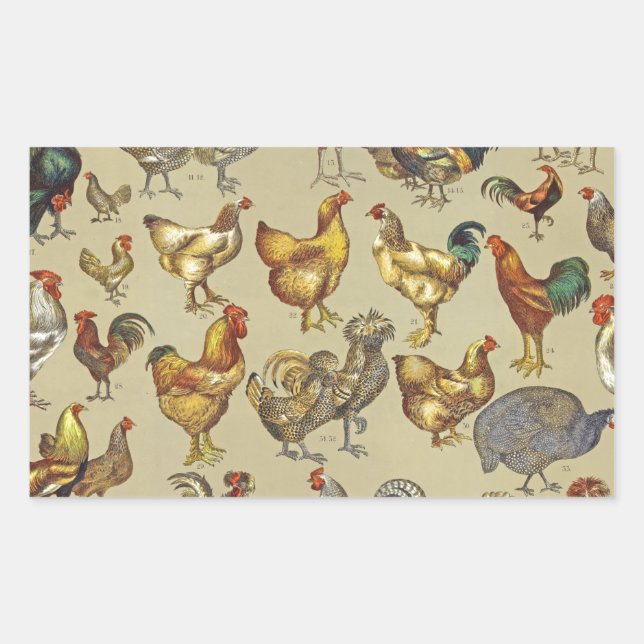 Rooster-Hühnerfarm Landtier Rechteckiger Aufkleber (Vorderseite)