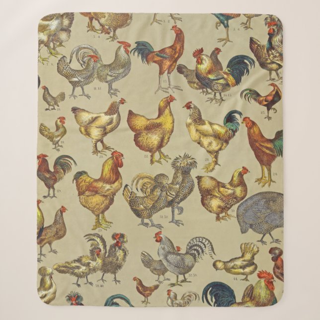 Rooster-Hühnerfarm Landtier Sherpadecke (Vorderseite)