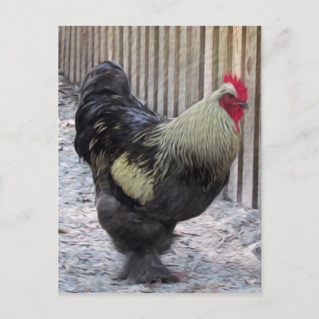 Rooster-Hühnermalerei Postkarte (Vorderseite)