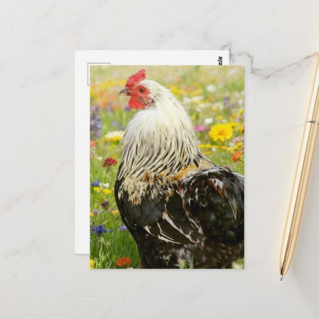 Rooster in a Flower Meadow Postkarte (Vorderseite/Rückseite Beispiel)