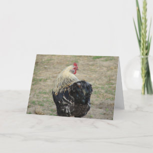 Rooster Karte