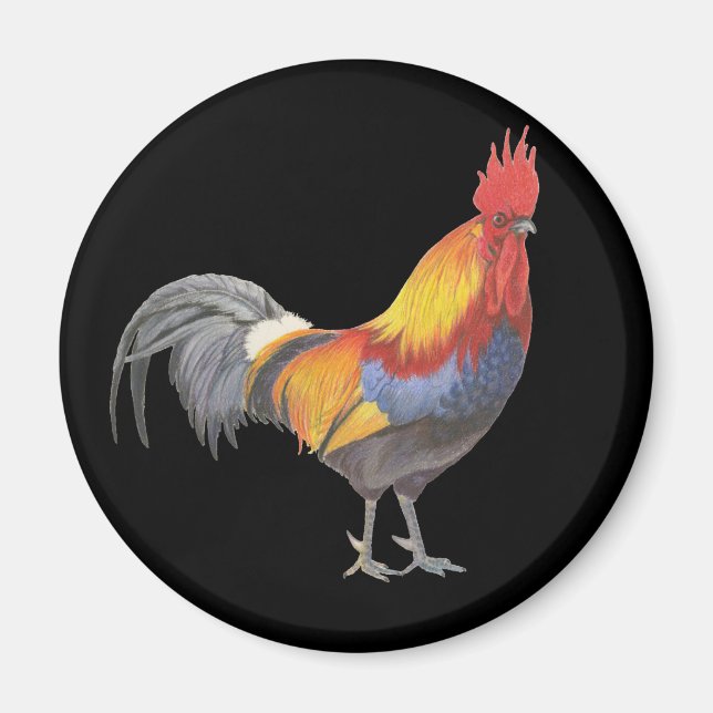 Rooster Magnet (Vorne)
