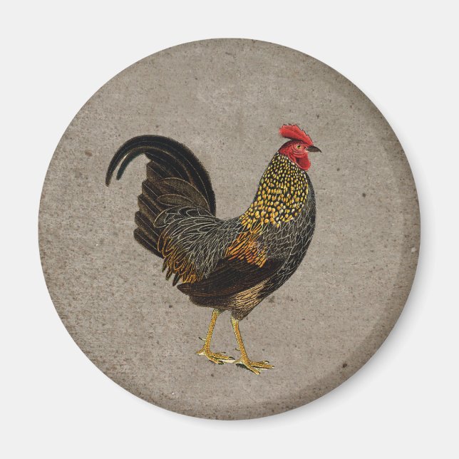 Rooster Magnet (Vorne)