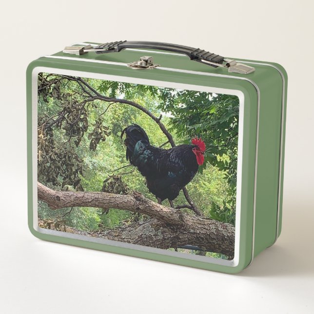 Rooster Metall Brotdose (Vorderseite)