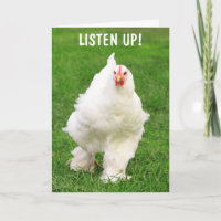 Rooster mit Höflichkeit wird gut