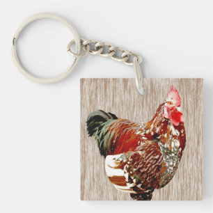 Rooster multicolore,