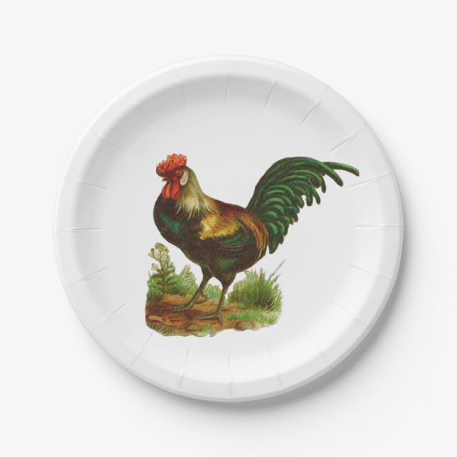 Rooster Pappteller (Vorderseite)