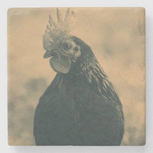 Rooster Portrait Steinuntersetzer
