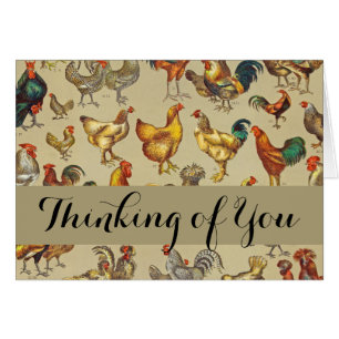 Rooster Poulet de la ferme Pays Animal