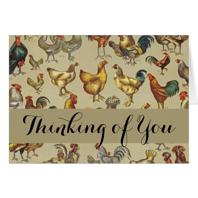 Rooster Poulet de la ferme Pays Animal (Devant horizontal)