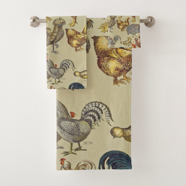 Rooster Poulet de la ferme Pays Animal (En situation)
