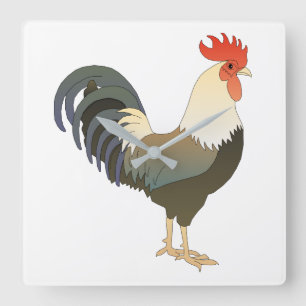 Rooster Quadratische Wanduhr