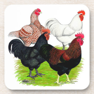 Rooster-Quartett für Heavy Rasse Getränkeuntersetzer