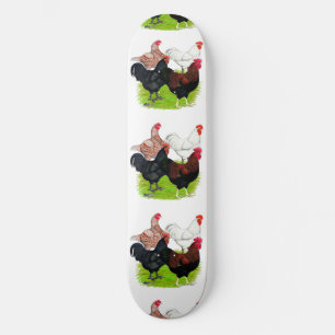 Rooster-Quartett für Heavy Rasse Skateboard