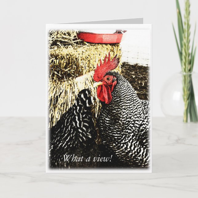 Rooster + Queue Hen, Carte de voeux amusante (Devant)